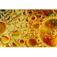 LIPOPHOS+ Plus | Phospholipids from organic Sunflower...