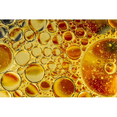 LIPOPHOS+ Plus | Phospholipids from organic...