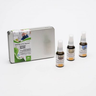 VITAFLOW IMMUN Pro Bundle | Sostegno naturale per long-Covid e sindrome post-Vac con estratti di piante biologiche