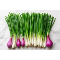 ALLIUM CEPA Tinktur | Jungzwiebel Bio ayurvedische...