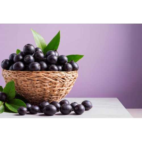 EUTERPE OLERACEA tintura | Bacca di Acai...