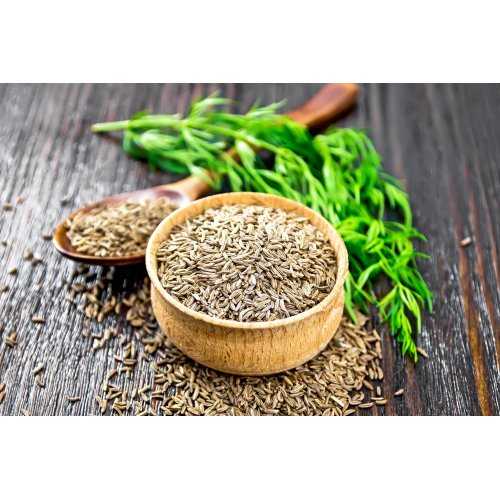 CARUM CARVI tincture | Caraway Meridian Fennel ayurvedic officinal tincture as natural medicine drops or spray