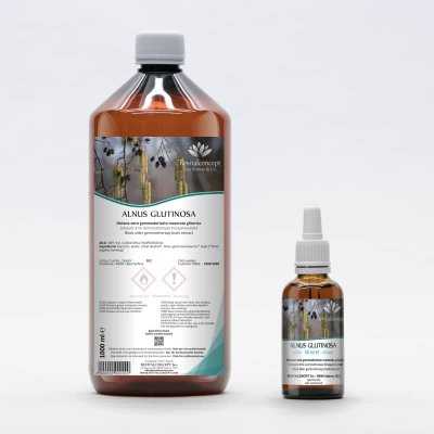 ALNUS GLUTINOSA gemmo | Black Alder organic buds extract as gemmotherapy drops or spray