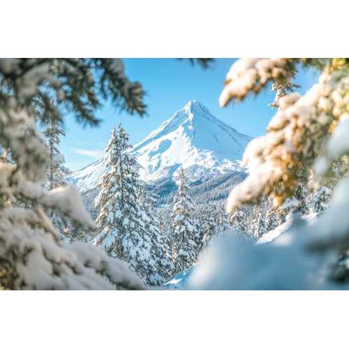 WINTER TIME Gemmo Bundle | Difese invernali e...