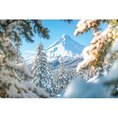 WINTER TIME Gemmo Bundle | Difese invernali e vitalità grazie alla forza delle gemme alpine con guida esperta