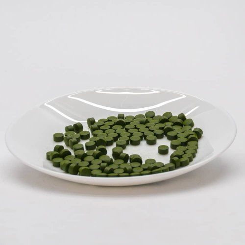KI CHLORELLA VULGARIS alga