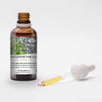 ANDROGRAPHIS PANICULATA tincture | Kalmegh Creat Green... 2