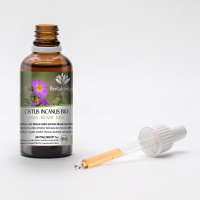 CISTUS INCANUS tincture | Red Rock Rose organic mother... 2