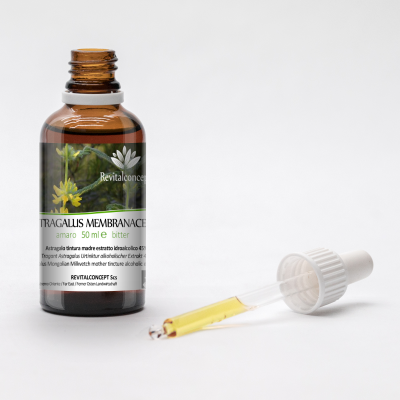 ASTRAGALUS MEMBRANACEUS tincture | Mongolian Milkvetch Huang Qi organic adaptogen tincture as natural medicine drops or spray