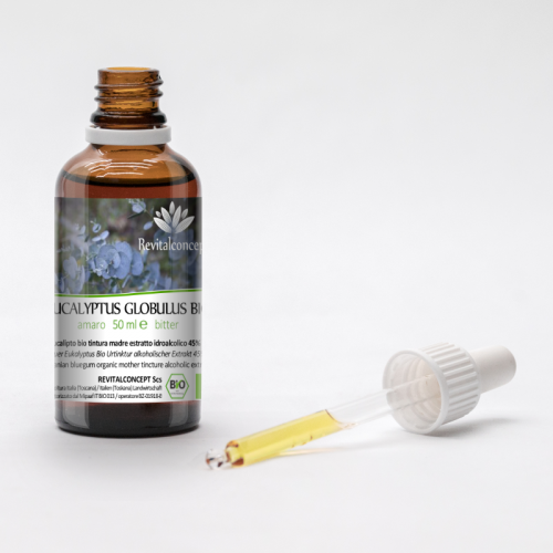 EUCALYPTUS GLOBULUS tincture | Southern Blue...