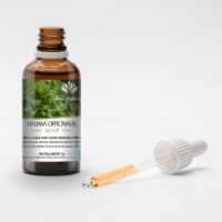 MELISSA OFFICINALIS 2