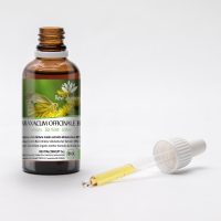 TARAXACUM OFFICINALE tincture | Dandelion organic mother... 2