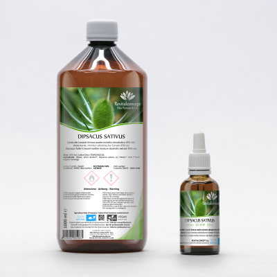 Wild Fuller's Teasel mother tincture drops or spray | DIPSACUS SATIVUS
 Capacity-50 ml pipette