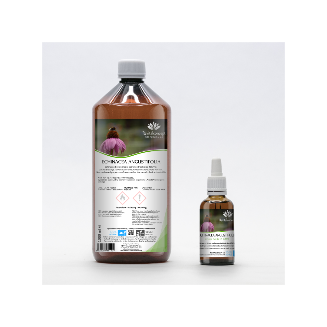 Narrow-Leaved Coneflower mother tincture drops or flowers | ECHINACEA ANGUSTIFOLIA