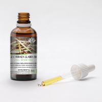 GLYCYRRHIZA GLABRA tincture | Liquorice Root organic... 2