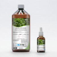 MELISSA OFFICINALIS