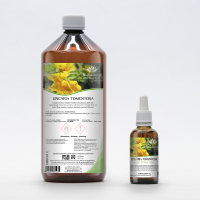 Cat's Claw Samento officinal tincture drops or spray | UNCARIA TOMENTOSA