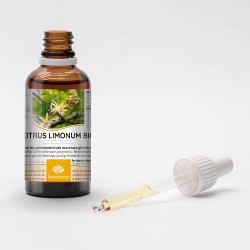 CITRUS LIMONUM gemmo | Lemon organic ayurvedic...