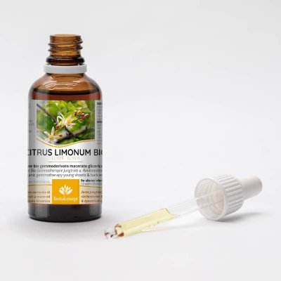 CITRUS LIMONUM gemmo | Lemon organic ayurvedic adaptogen young shoots extract as gemmotherapy drops or spray