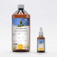 Fig Tree organic gemmotherapy buds extract drops or spray | FICUS CARICA BIO
