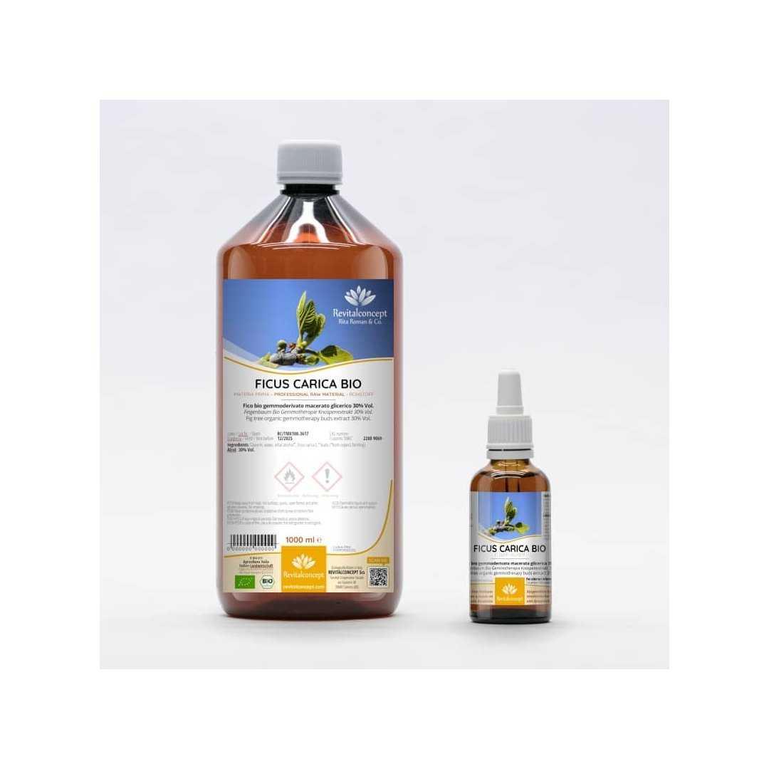 Fig tree organic gemmotherapy buds extract drops or spray