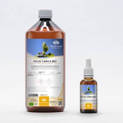FICUS CARICA Gemmo | Feigenbaum Bio ayurvedischer Knospen-Extrakt zur Gemmotherapie Tropfen o. Spray