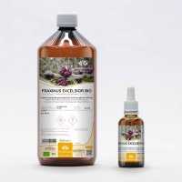 European ash organic gemmotherapy buds extract drops or spray