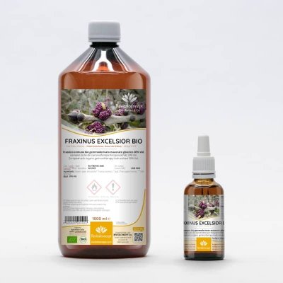 FRAXINUS EXCELSIOR gemmo | European Ash organic buds extract as gemmotherapy drops or spray