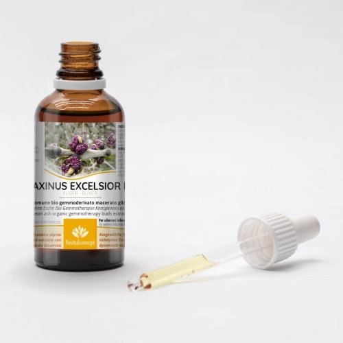 FRAXINUS EXCELSIOR gemmo | European Ash organic...