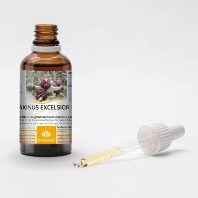 FRAXINUS EXCELSIOR gemmo | European Ash organic buds extract as gemmotherapy drops or spray