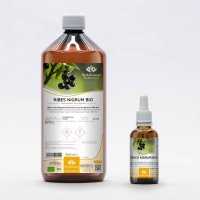 Blackcurrant organic gemmotherapy buds extract drops / spray