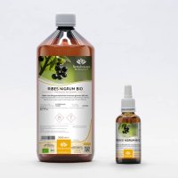 RIBES NIGRUM gemmo | Blackcurrant organic ayurvedic...