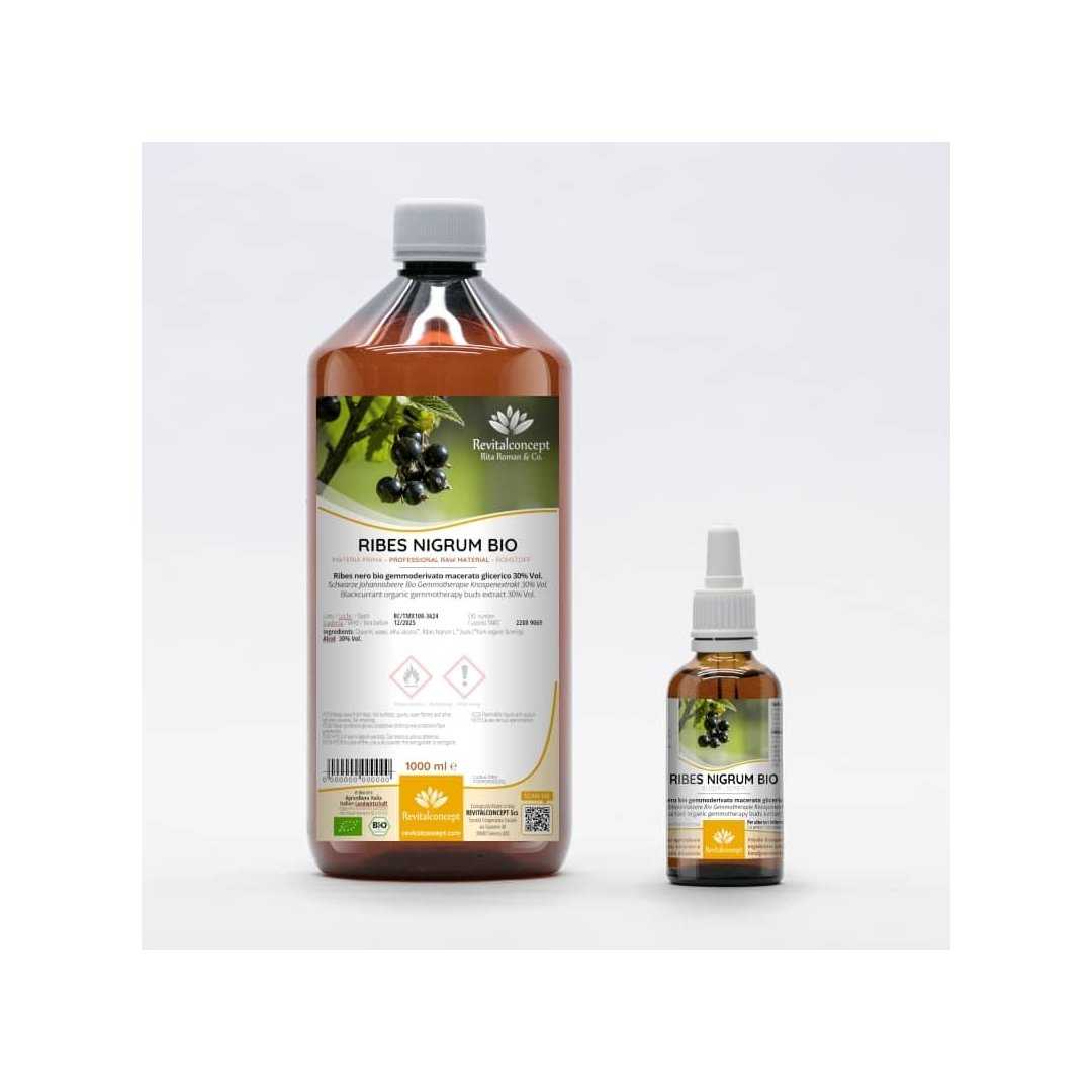 Blackcurrant organic gemmotherapy buds extract drops / spray
