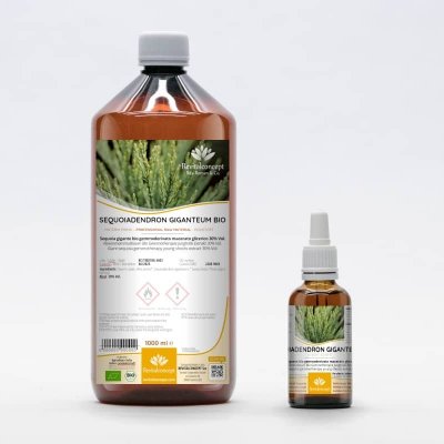 SEQUOIADENDRON GIGANTEUM gemmo | Giant Sequoia young shoots extract as gemmotherapy drops or spray