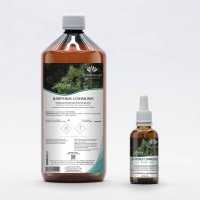 Common juniper gemmotherapy young shoots extract according Dr. Pol Henry
