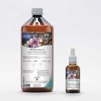 Almond tree gemmotherapy buds extract according Dr. Pol Henry