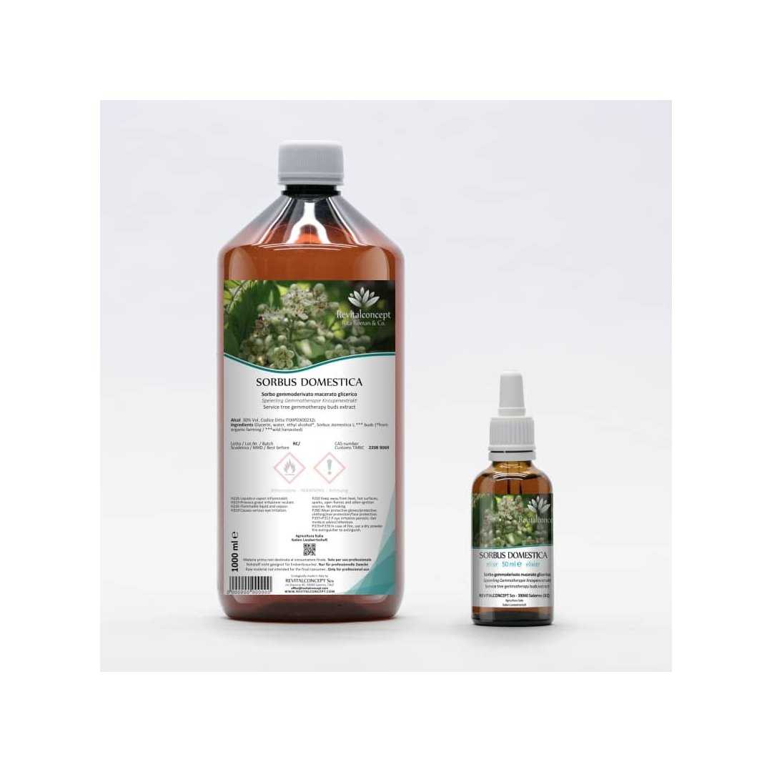 Service tree gemmotherapy buds extract according Dr. Pol Henry