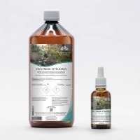 Mountain cranberry gemmotherapy young shoots extract