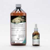 Wayfaring tree gemmotherapy buds extract according Dr. Pol Henry