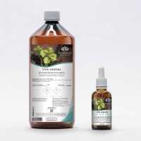 Red grape vine gemmotherapy buds extract according Dr. Pol Henry