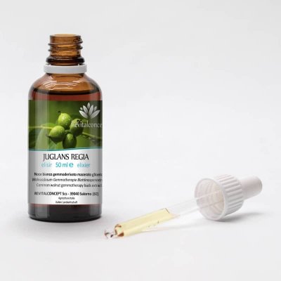 JUGLANS REGIA tincture | Common Walnut ayurvedic adaptogen mother tincture as natural medicine drops or spray