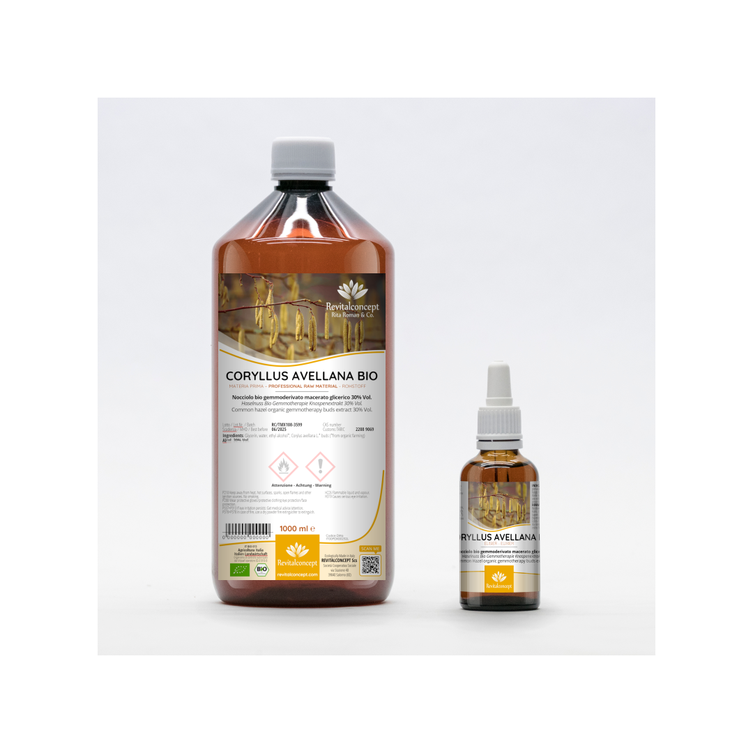 Common hazel organic gemmotherapy buds extract drops / spray