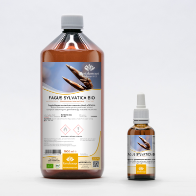 FAGUS SYLVATICA gemmo | European Beech organic buds extract as gemmotherapy drops or spray