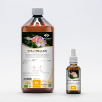 Dog Rose organic gemmotherapy buds extract drops or spray | ROSA CANINA BIO