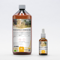 ROSMARINUS VERBENE gemmo | Wild Rosemary organic...