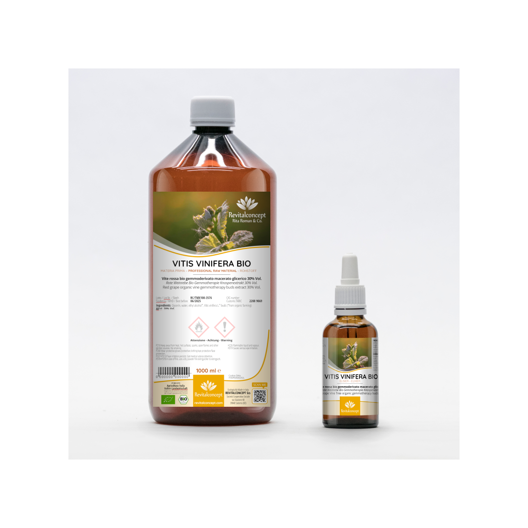 Red Grape Vine Tree organic gemmotherapy ayurvedic buds extract drops or spray | VITIS VINIFERA BIO