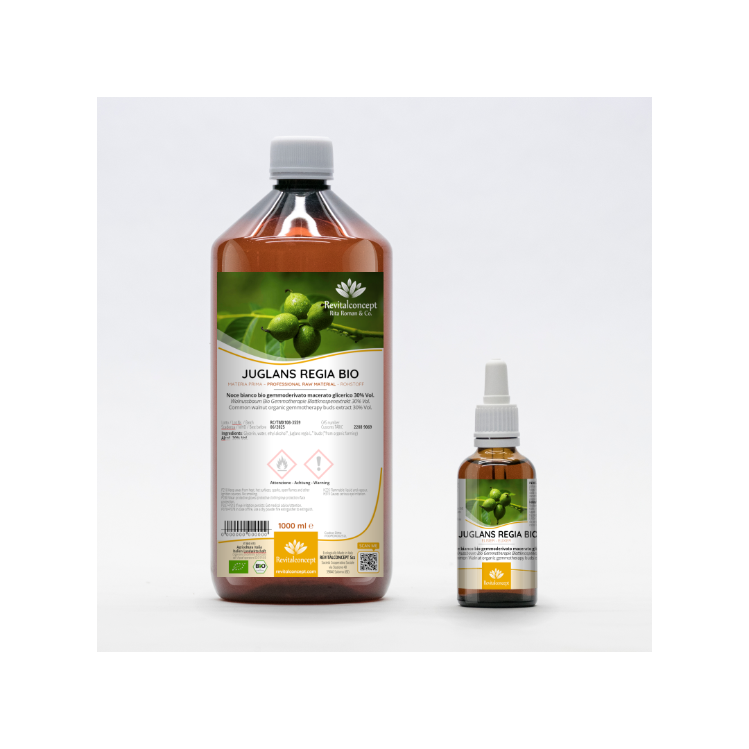 Common Walnut organic gemmotherapy buds extract drops / spray