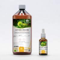 Sweet Chestnut organic gemmotherapy buds extract drops or spray | CASTANEA VESCA BIO