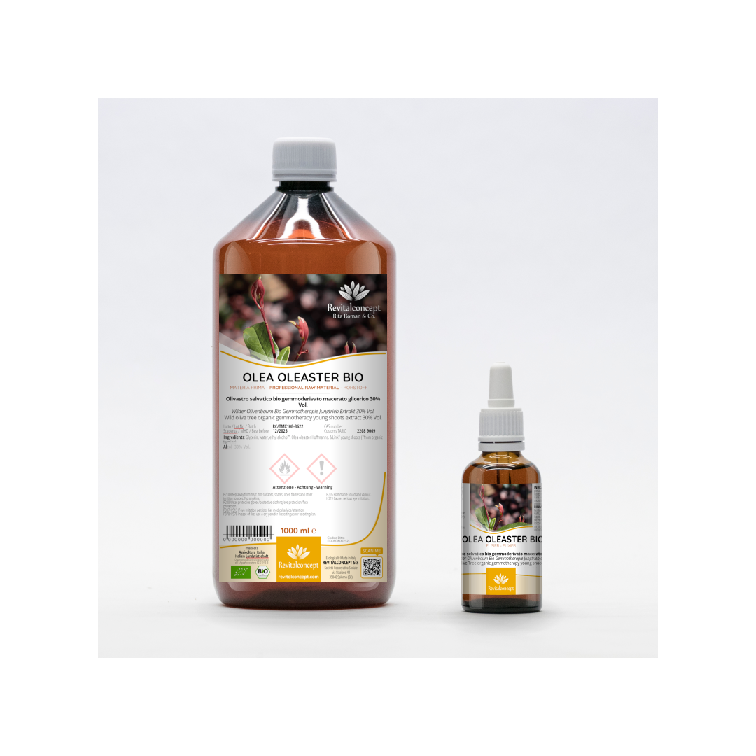 Wild Olive Tree organic gemmotherapy young shoots extract drops / spray