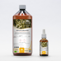 Mistletoe organic gemmotherapy young shoots extract drops / spray